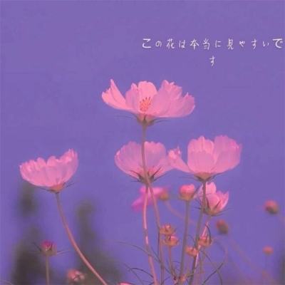 苹果扩大美国制造计划，新增四家合作伙伴