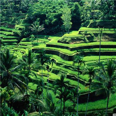 二股东全部持股被拍卖！这家民营银行股权被放上“货架”